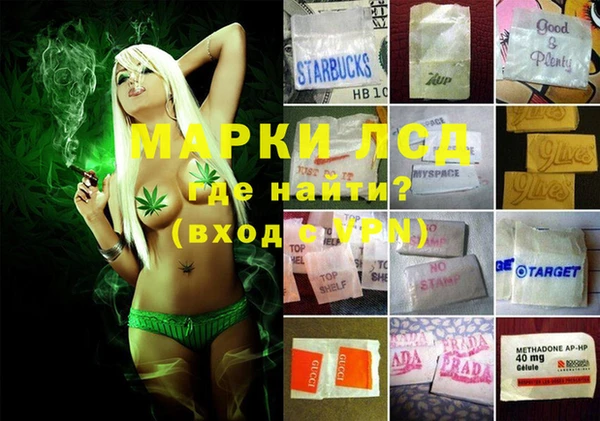 ешки Арсеньев