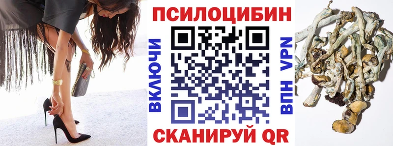 Галлюциногенные грибы Psilocybe  Волгодонск 